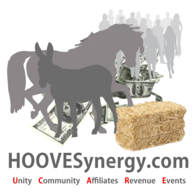 HOOVESynergy
