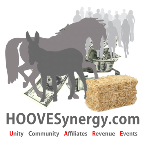 HOOVESynergy - Unity ~ Community ~ Affiliates ~ Revenue ~ Events